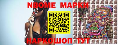 крисы Моздок
