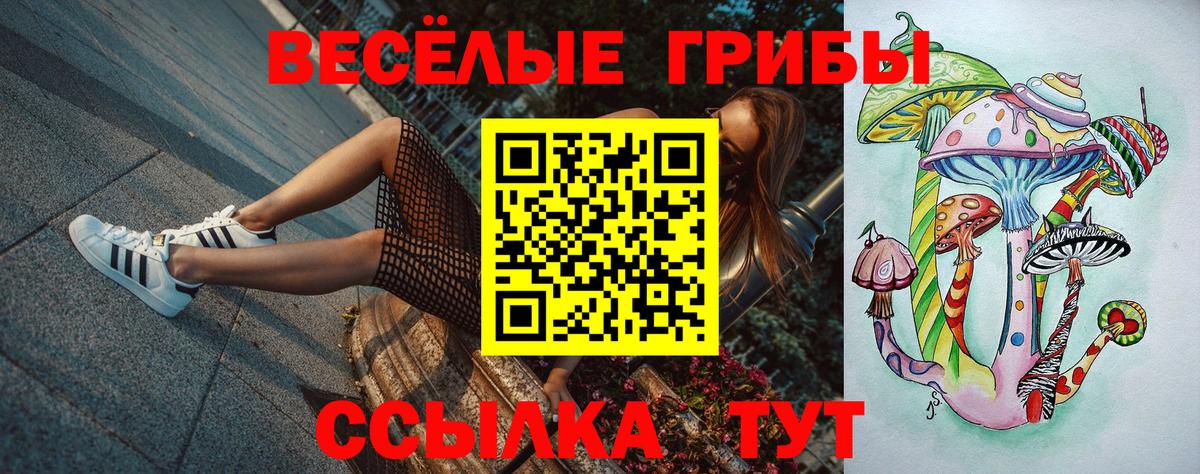 Галлюциногенные грибы GOLDEN TEACHER Трёхгорный